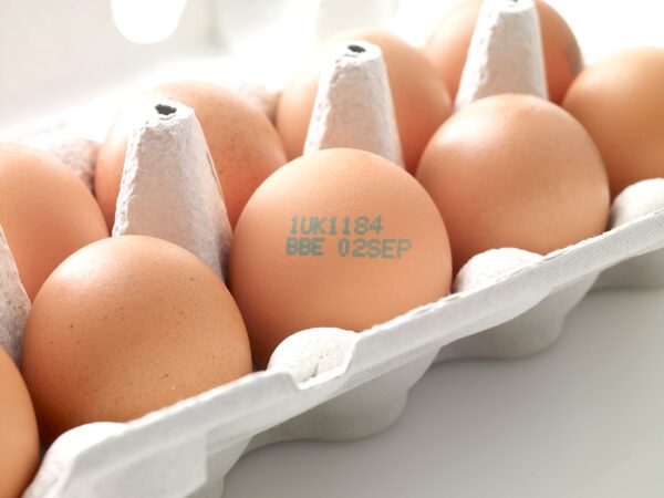 Ax-Serie Kontinuierlicher Tintenstrahldrucker Eier