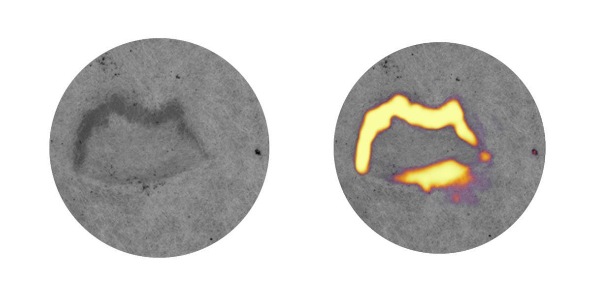 Retina Deep Learning Software