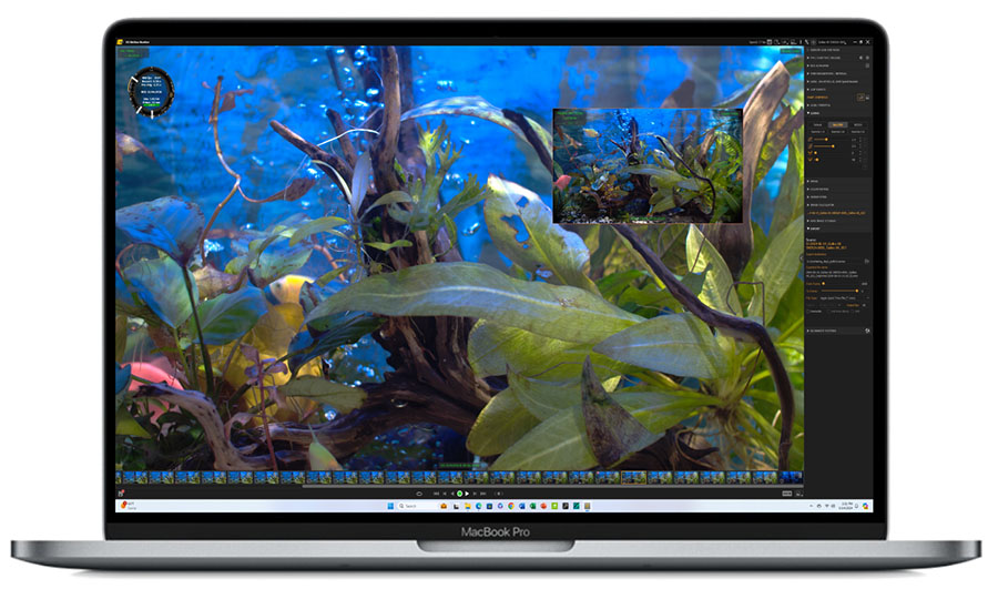 Phoenix-GOLD-dual-framerate IDT Phoenix Gold