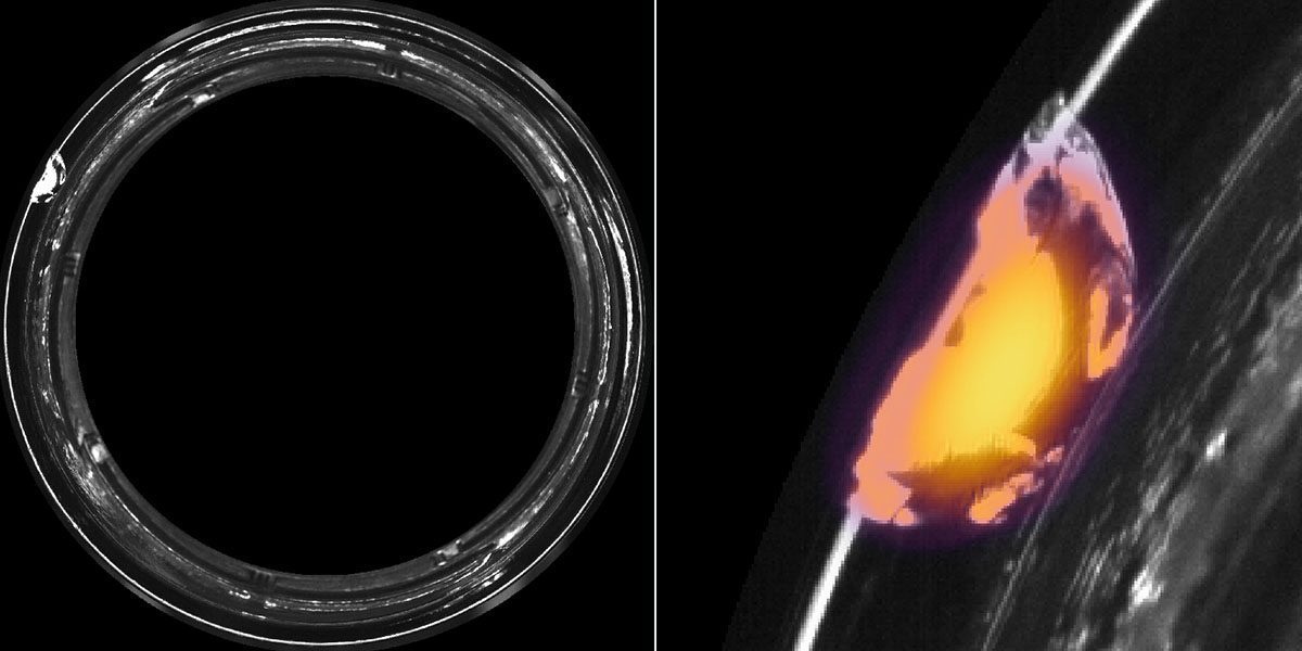 Software for machine vision