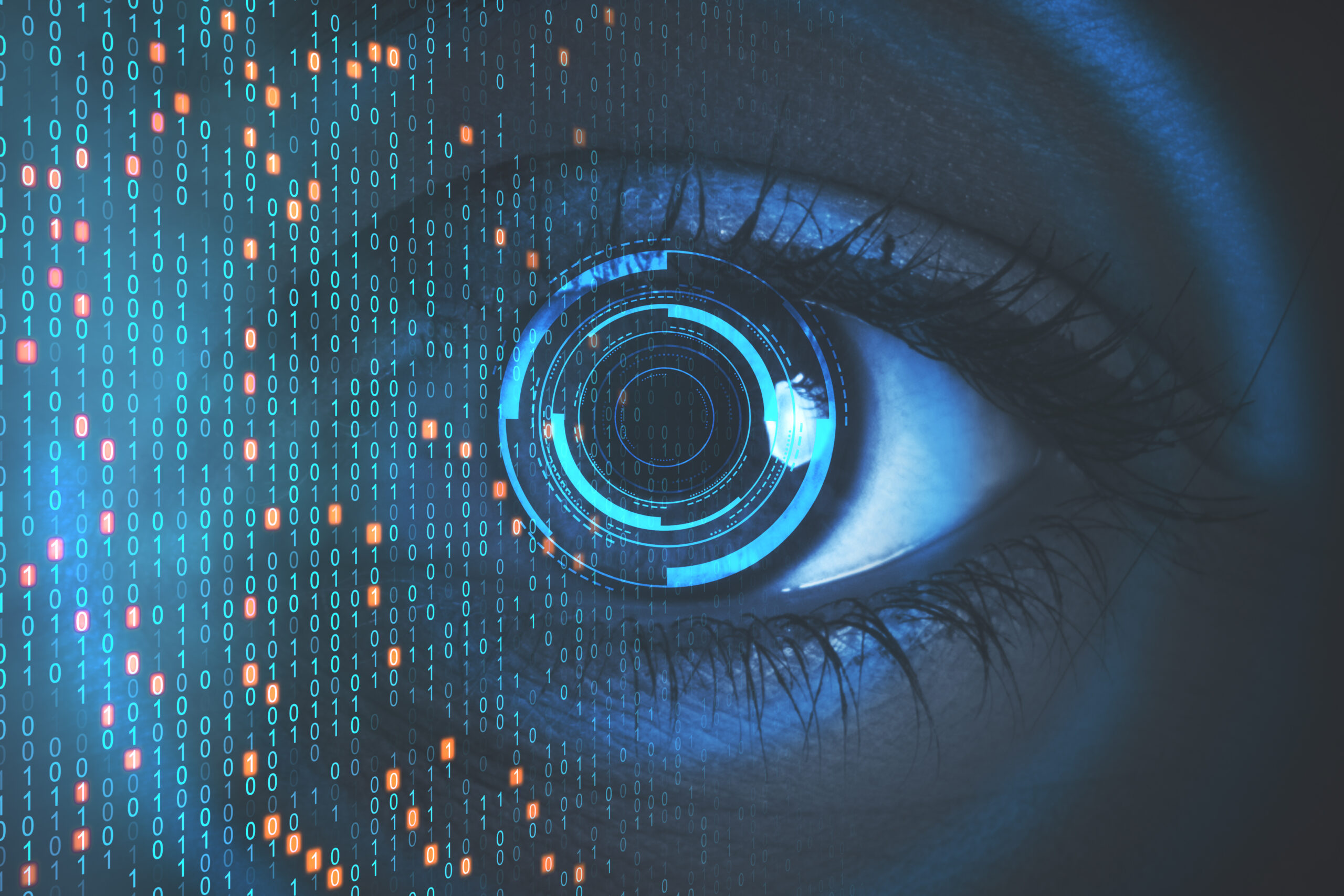 Software for machine vision